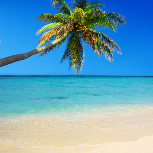 destination weddings